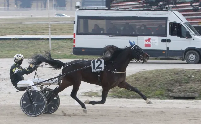 Ippica, la domenica di trotto all'Ippodromo Snai La Maura di Milano, intitolata all’Allevamento di Casei, vede protagonisti Funky Roc e Every Time Winner nelle due corse clou della 4^ giornata
