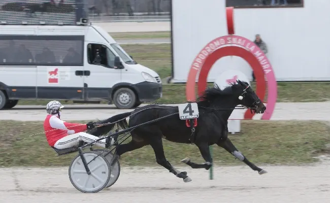 Ippica: mercoledì 17 all’ippodromo Snai La Maura di Milano la quinta riunione di trotto di gennaio con due prove Handicap davvero interessanti