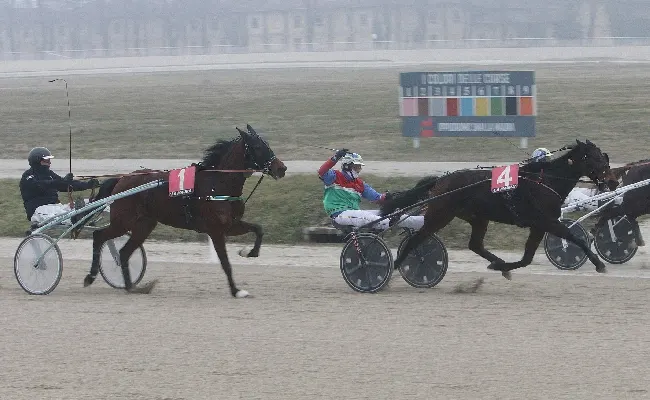 Ippica, domenica di trotto all’Ippodromo Snai La Maura: Zafira si conferma specialista per il Premio Varenne, sfilata vincente di Fashion Grif nel Premio Newstar