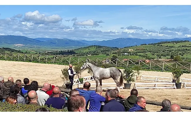 Ippica e allevamento: 300 allevatori alla presentazione degli stalloni organizzata dall'agenzia Asvi al centro di Su Padru-Ozieri