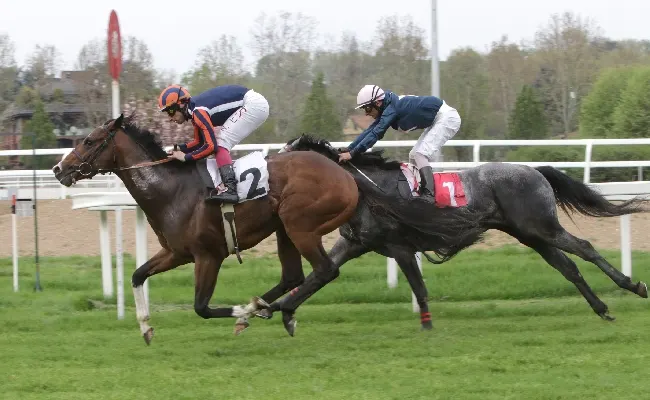 Ippica, all’Ippodromo Snai San Siro Calm Reef si conferma nel Premio Microbiotal Horse, clou della domenica in partnership con NBF Lanes Linea Horse