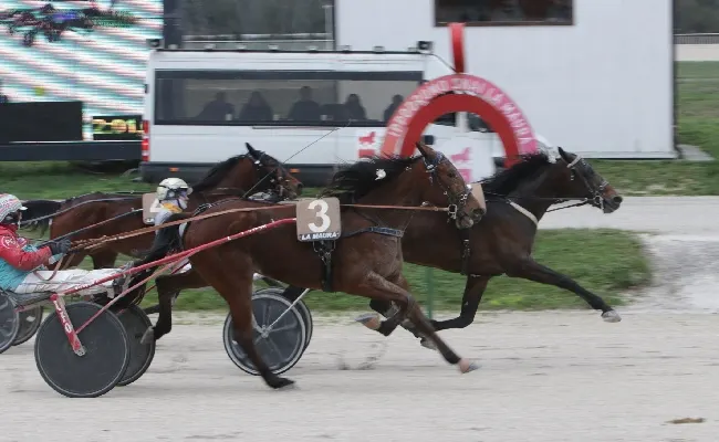 Ippica, venerdì riservato ai Gentlemen all’Ippodromo Snai La Maura con sette prove a partire dalle ore 14:55 e il supporto di Shatar Pub di Milano