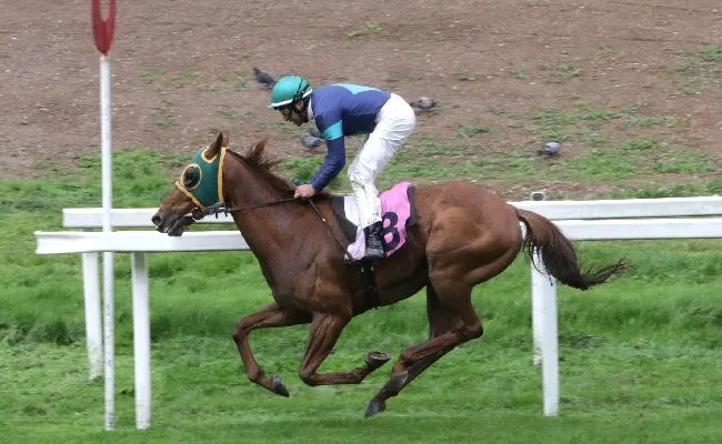 Il mercoledì all'Ippodromo Snai San Siro in onore dell'architetto degli ippodromi Paolo Vietti Violi e con Beholder che vince il clou della 6^ giornata di galoppo