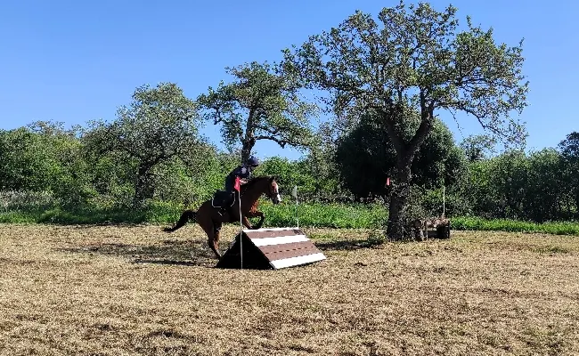 Equitazione, concorso completo: nella prima tappa di Tanca Regia vincono Pilleri, Riccardi, Bardin, Accorsi e Sesselego