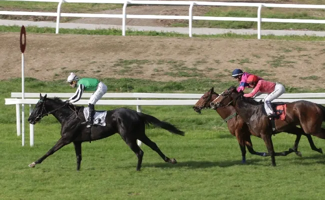 Nel mercoledì di galoppo all'Ippodromo Snai San Siro Nightliner si aggiudica il premio Maslogarth, clou del pomeriggio milanese. Sabato 27, invece, il Premio Ambrosiano e l'Handicap di primaera