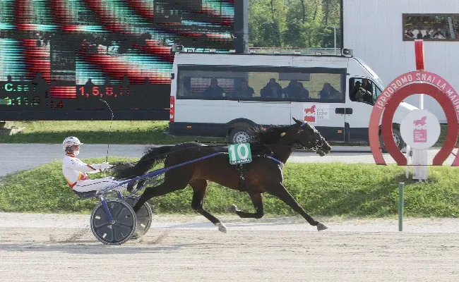 Ippica, Boccadamo-Vecchione concedono il bis nel Gran Premio Ettore e Mario Barbetta del 25 aprile all’Ippodromo Snai La Maura