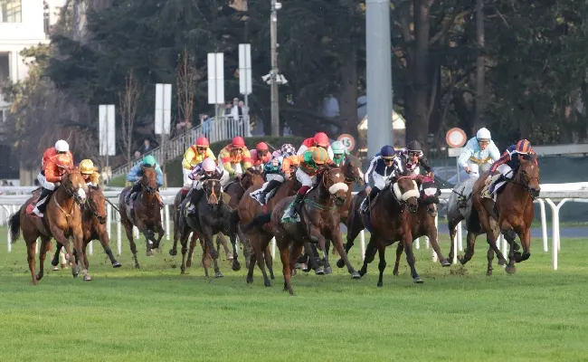 Ippica, all’Ippodromo Snai San Siro prima riunione di corse nel mese di maggio. Giovedì al via dalle ore 15:30 con il Premio San Giorgio, il Poncia e il Lampugnano