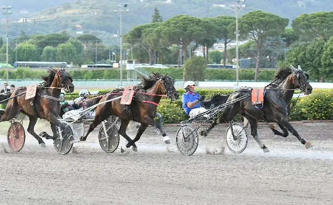 Ippica, all’Ippodromo Snai Sesana buona la ‘prima’. Oltre mille spettatori all’apertura della 109^ stagione di trotto. Per il Premio Miss Montecatini, vince Flora Pan