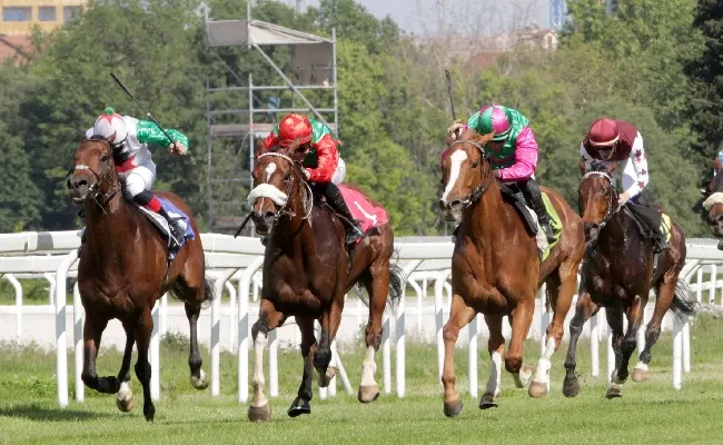 Ippica: all'Ippodromo Snai San Siro El Buitre vince il Premio Tramuschio e Grand Embassy il Boffalora
