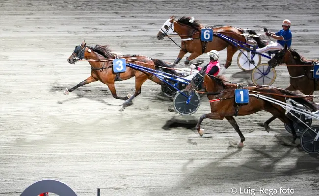 Ippica, Ippodromo Cesena Trotto: resoconto delle corse di martedì 2 luglio