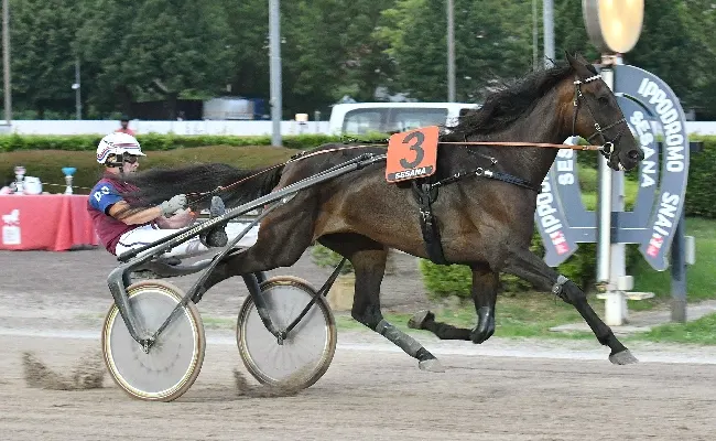 Ippica: il mercoledì all'Ippodromo Snai Sesana apre il mese di luglio e regala a Bat Host il Premio Baket Cross, ma la 'copertina' della serata se la guadagna Di Nardo con un poker