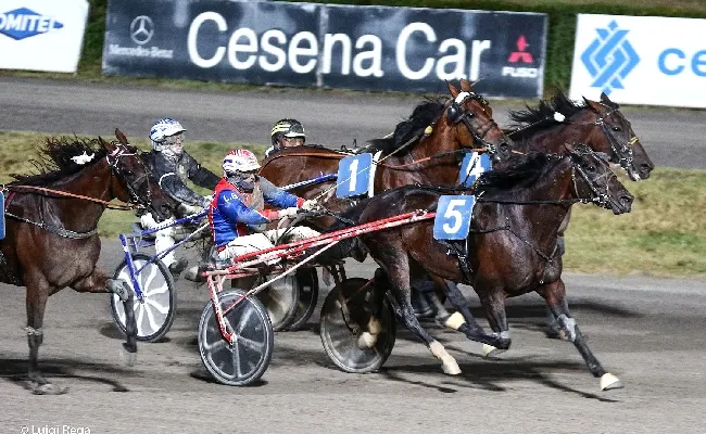 Ippica, Ippodromo Cesena Trotto: il resoconto delle corse di martedì 9 luglio