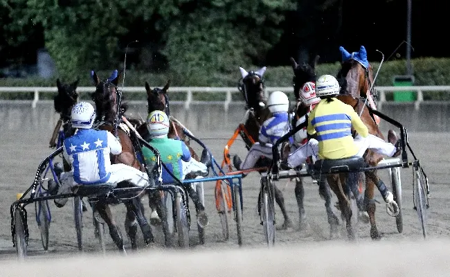 Ippica, Ippodromo Cesena Trotto: presentazione corse di martedì 16 luglio 2024