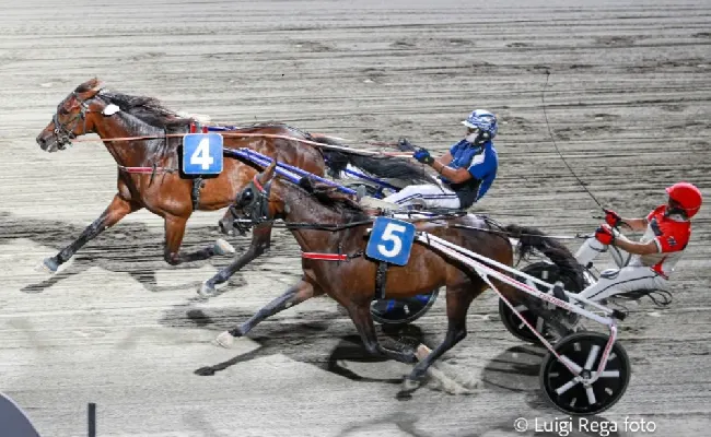 Ippica, Ippodromo Cesena Trotto: il resoconto delle corse di martedì 23 luglio