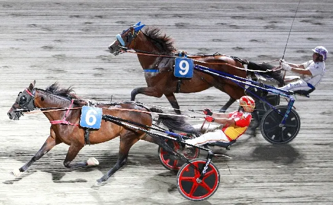 Ippica, Ippodromo Cesena Trotto: il resoconto delle corse di martedì 6 agosto