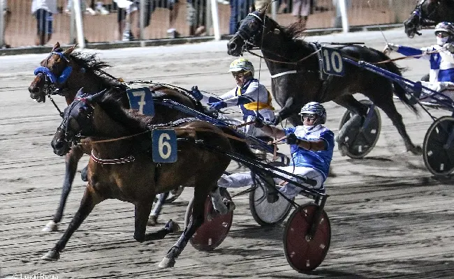 Ippica, Ippodromo Cesena Trotto: il resoconto delle corse di lunedì 12 agosto