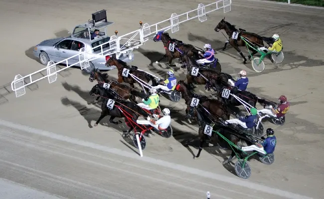 Ippica, all’Ippodromo Snai San Siro riunione di Trotto di giovedì 29 che chiude il mese di agosto. Sette prove dalle ore 20:35 in ricordo di Giancarlo Baldi e dei suoi campioni. Si torna in pista dal 5 ottobre