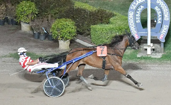Ippica, esordio vincente per Gaby Wise As nel bel mercoledì sera all'Ippodromo Snai Sesana davanti a circa mille spettatori