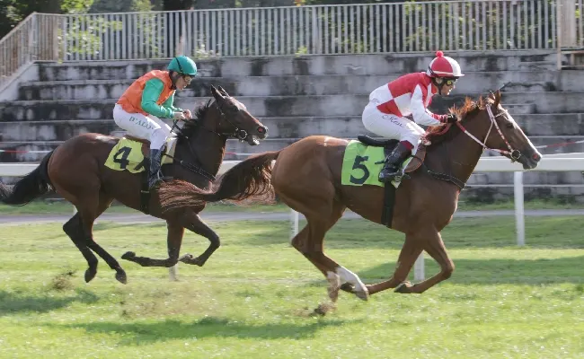 Ippica, nel mercoledì di galoppo all'Ippodromo Snai San Siro Piazzadram si aggiudica il Premio Dormelletto. Venerdì di nuovo in pista e domenica ci sono il Verziere e il Cumani
