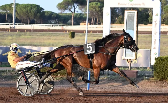 Ippica, Ippodromo Capannelle: weekend di festa per il trotto, domenica in programma il 97° Derby Italiano