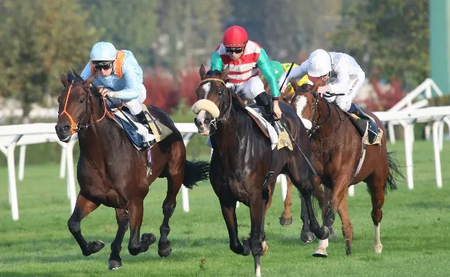 Ippica, all'Ippodromo Snai San Siro si scende in pista martedì con sei corse valide per la 42^ stagionale di galoppo. Al via dalle ore 14.25