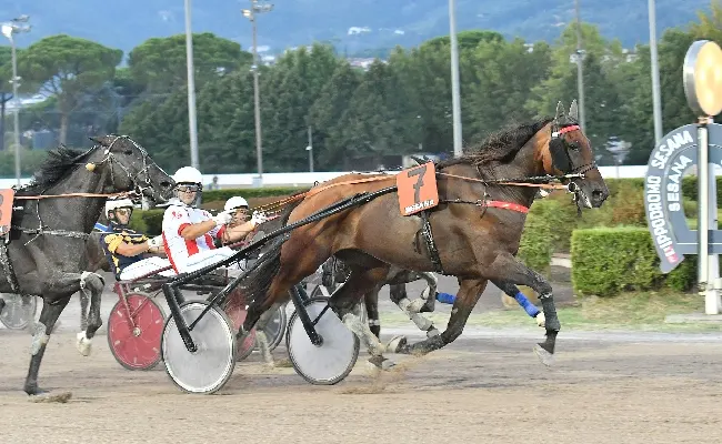 Ippica, all’Ippodromo Snai Sesana sabato con sette corse di trotto e l’animazione e l’intrattenimento per il pubblico. Cancelli aperti dalle ore 15, cavalli in pista dalle 17