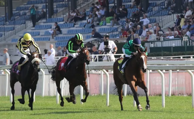 Ippica, sabato e domenica all’Ippodromo Snai San Siro con le corse di trotto e di galoppo da non perdere! Sul nuovo circuito la giornata riservata ai Gentlemen Driver Nazionali