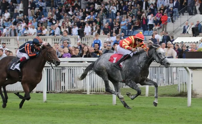 Ippica, all'Ippodromo Snai San Siro mercoledì con sei corse valide per la 46^ giornata di galoppo a partire dalle ore 15.05