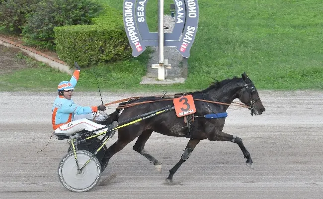 Ippica, venerdì ultima della stagione di trotto all'Ippodromo Snai Sesana: oltre alle sette corse in pista, una grande festa per i bambini e le famiglie, poi la premiazione dei migliori ippici 2024
