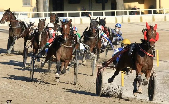 Ippica, Ippodromo Arcoveggio di Bologna: domenica 3 novembre corse gentlemen e tante attività per famiglie