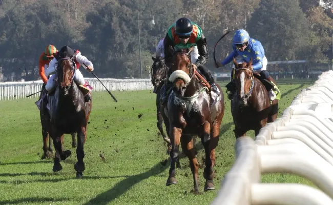 Ippica, sabato all’Ippodromo Snai San Siro con il St Leger Italiano, il Premio Divino Amore e il Premio Chiusura - Aria Importante. Al via dalle ore 14:05 con sette prove