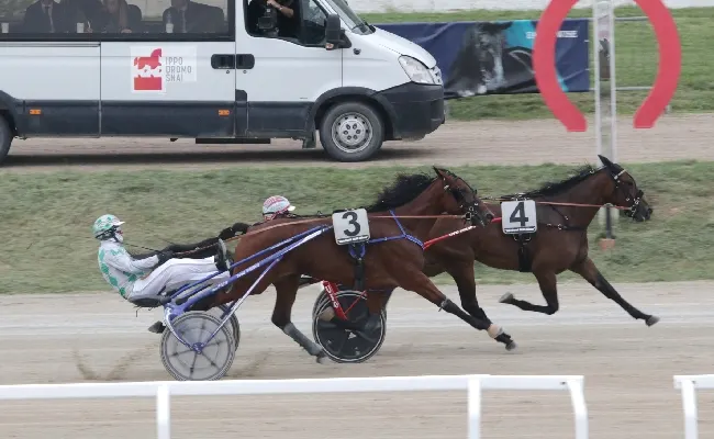 Ippica, fine settimana da non perdere all'Ippodromo Snai San Siro con due giornate di trotto e l’ultima stagionale di galoppo