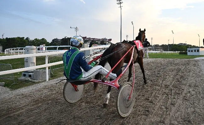 Sabato all'Ippodromo Snai San Siro ultima riunione di trotto con sette prove a partire dalle ore 15:05. Ma si torna in pista già il 1° gennaio per la stagione 2025