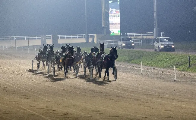 Ippica, all’Ippodromo Snai San Siro Encantador Laksmy ritrova la vittoria nel clou della domenica di trotto milanese. Minuto di silenzio in ricordo di Aleardo Dall’Oglio