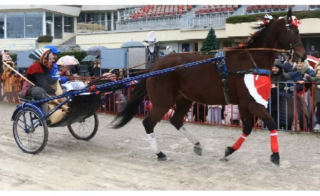 Ippica, Ippodromo Arcoveggio di Bologna: resoconto del Gran Premio della Vittoria Isibetpro - Trofeo Carlo Mantellini