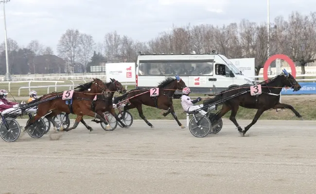Ippica, Betflag: in pista a Siracusa per il Nastro d'Oro