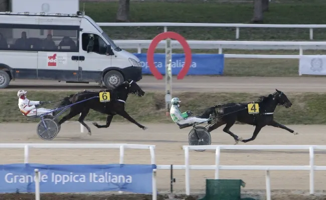 Ippica, all'Ippodromo Snai San Siro domenica di trotto con lo squillo di Frencis Zl nel Premio Gitana d'Asolo