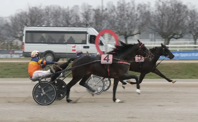 Ippica, mercoledì ultima di gennaio di trotto all’Ippodromo Snai San Siro con una 9^ giornata che presenta sette prove a partire dalle ore 14
