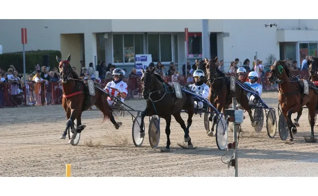 Ippica, Ippodromo Arcoveggio di Bologna: giovedì 30 gennaio ultimo pomeriggio di corse con TQQ prima della sosta