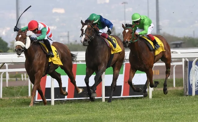 Ippica, Onorato (ass. Sport Roma): “Capannelle non chiude, gestione affidata a Hippogroup”