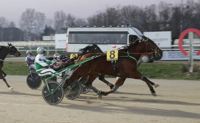 Ippica, nel mercoledì di trotto all'Ippodromo Snai San Siro di Milano la corsa con maggiore dotazione la vince Firmamento St. Domenica è in programma il Gp Mario Locatelli