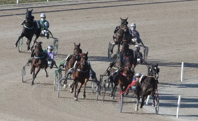 Ippica, all'Ippodromo Snai San Siro una domenica di grande trotto con il Gran Premio Locatelli e divertimento per i bambini con ben tre aree giochi
