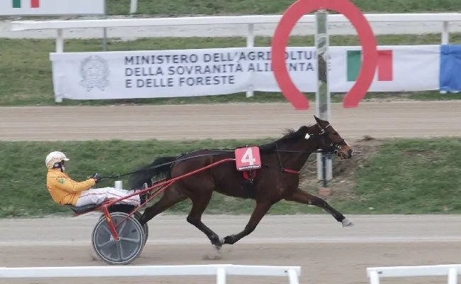 Ippica, all'Ippodromo Snai San Siro For You Roc ritrova la vittoria nella bella domenica di trotto. Fra una settimana scatta l'ora dell'atteso Gran Premio Encat