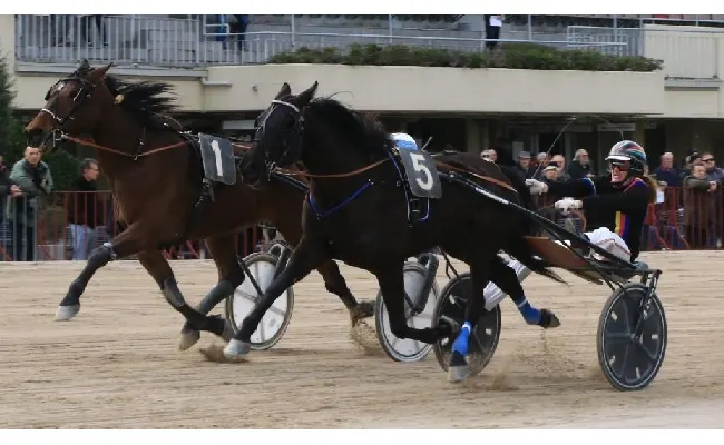 Ippica, Ippodromo Bologna Arcoveggio: giovedì 6 marzo con Amazzoni e Tris Quarté Quinté