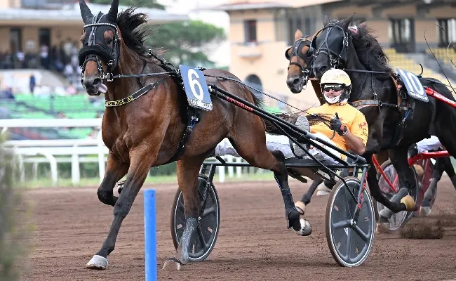 Ippica, Ippodromo Capanelle: sabato 8 marzo si riparte col trotto