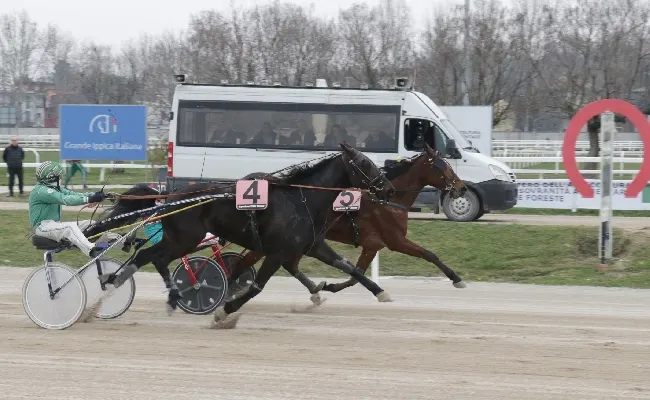 Ippica, la domenica di trotto all'ippodromo Snai San Siro: Dauphin Joyeuse, con un finale ad effetto, fa suo il premio Sky Dancer