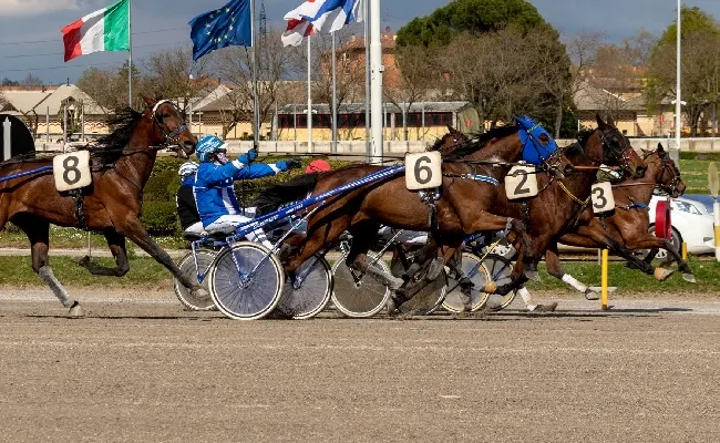 Ippica, all’ippodromo di Bologna giovedì 13 marzo un bel centrale sulla pista dell’Arcoveggio e altre sette corse
