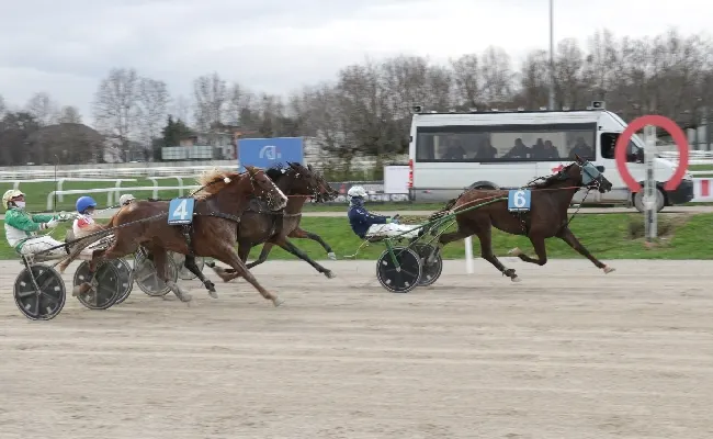 Ippica, il venerdì di trotto all'Ippodromo Snai San Siro di Milano regala a Gold Man F1 una vittoria a sorpresa nel Premio Tenerife. Venerdì 21 ultima del mese con in pista le batterie del Premio Anact Stakes Plus+