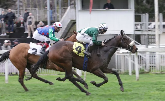 Ippica, all’Ippodromo Snai San Siro Domenica che chiude il fine settimana con il galoppo e le ‘Giornate Fai di Primavera’. In pista il Premio Gardenghi a Roky e il Premio Sacundai a Pozzo Di Bugia. Giovedì si corre in preserale