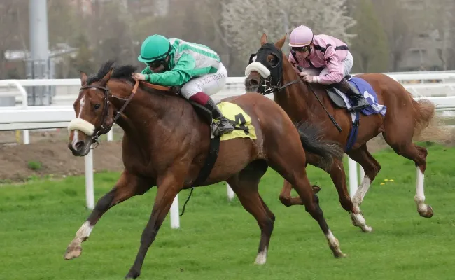 Ippica, sabato all'Ippodromo Snai San Siro primo appuntamento di spessore della stagione di galoppo con il Premio Seregno e il Premio Gardone